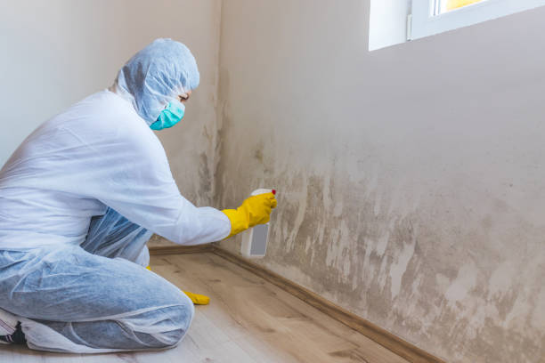Licensed Mold Cleanup service in Spotsylvania, VA - WQB Mold Removal