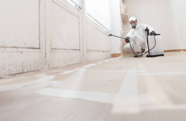 24/7 Emergency Mold Cleanup experts in Spotsylvania, VA