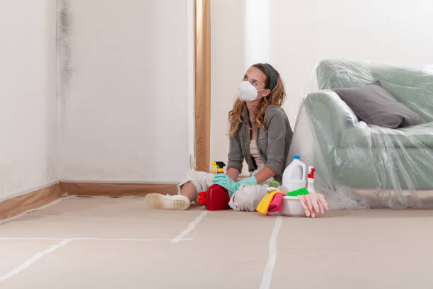 Reliable Mold Cleanup contractor in Spotsylvania, VA by WQB Mold Removal